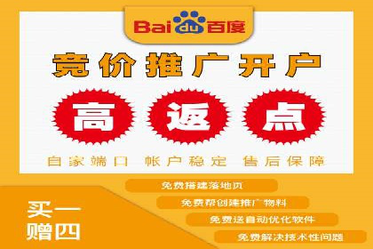 百度推广运营实战：成功案例解析